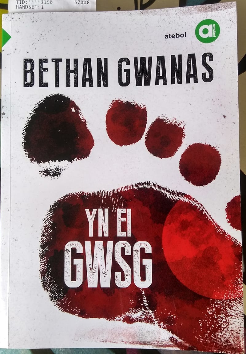 Cover of the book Yn Ei Gwsg by Bethan Gwanas